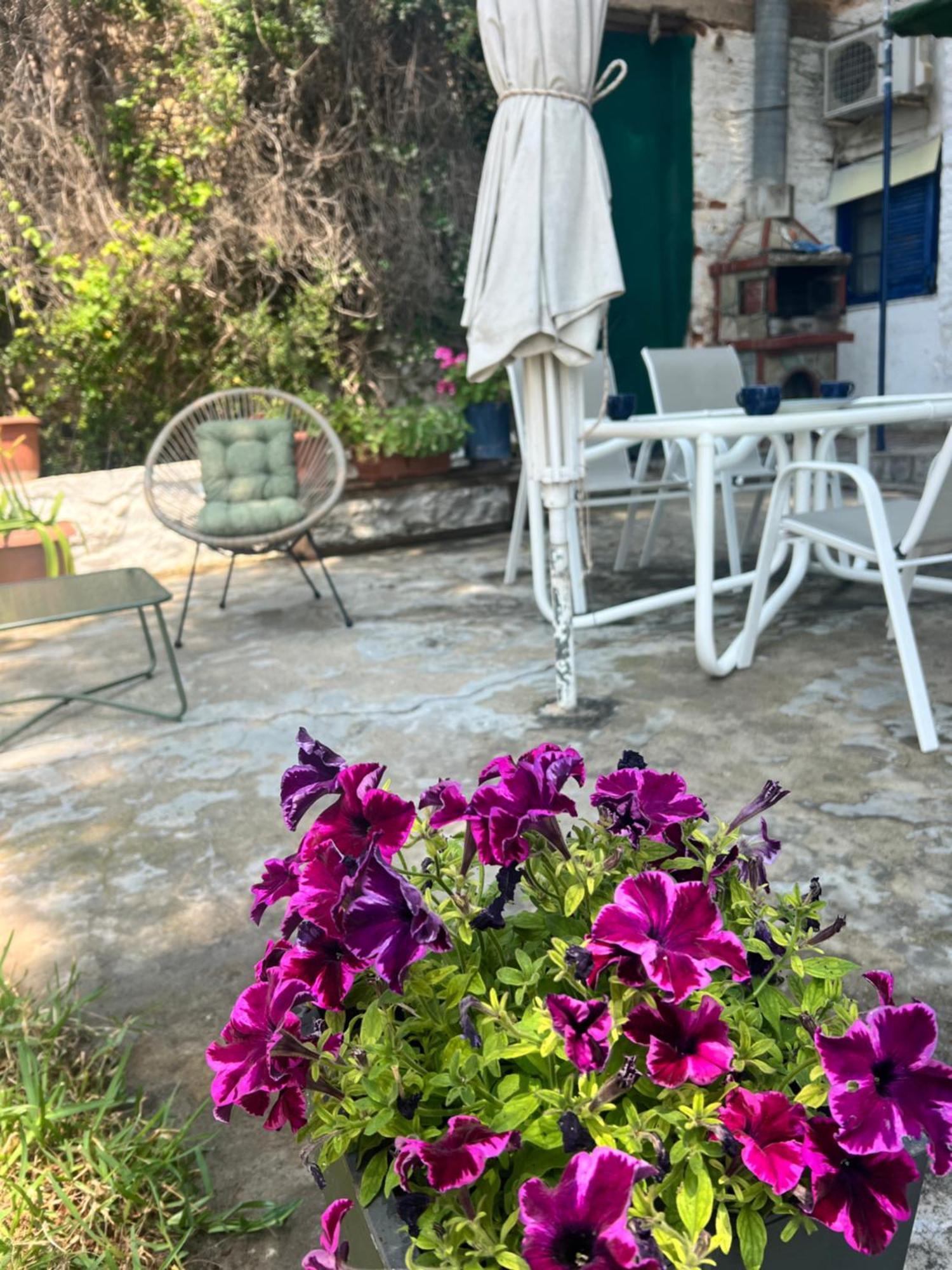 The House By The Sea Appartement Metamorfosi  Buitenkant foto